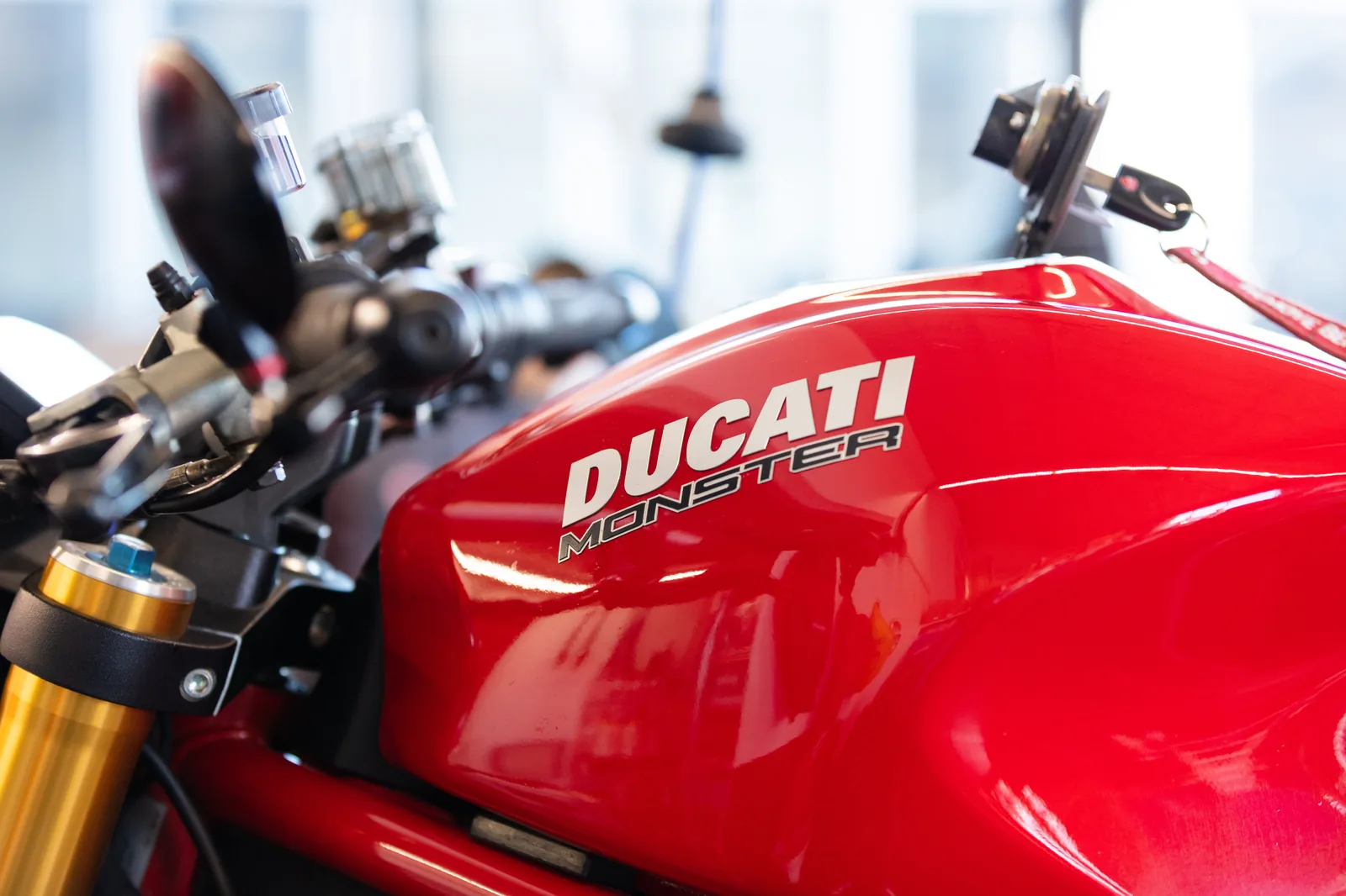 Bütikofer Moto77 – Bild 2