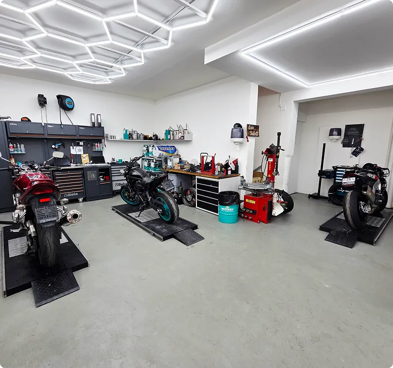 LM Bike Performance – Bild 2
